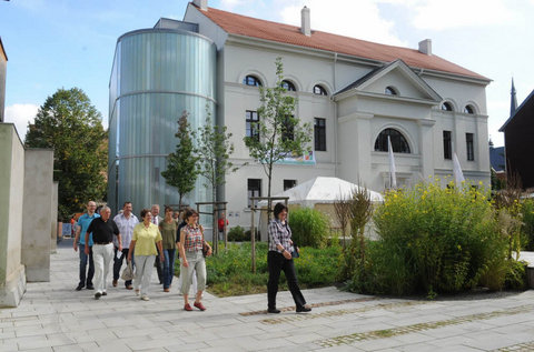 European Library for Homeopathy