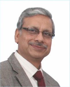 Dr.Alok Pareek